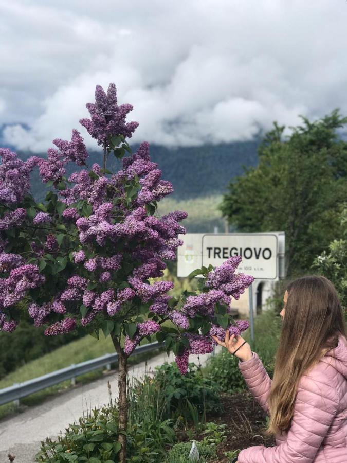 Appartamento Casa Paolina - Cipat 57814 Revò Esterno foto