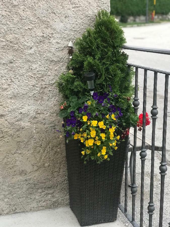 Appartamento Casa Paolina - Cipat 57814 Revò Esterno foto