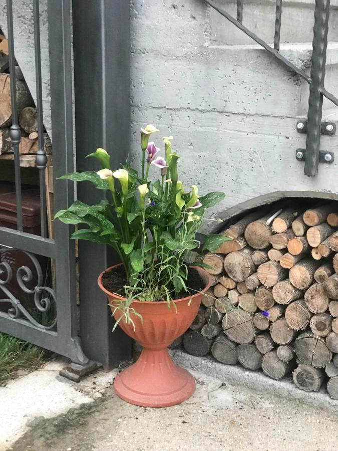 Appartamento Casa Paolina - Cipat 57814 Revò Esterno foto